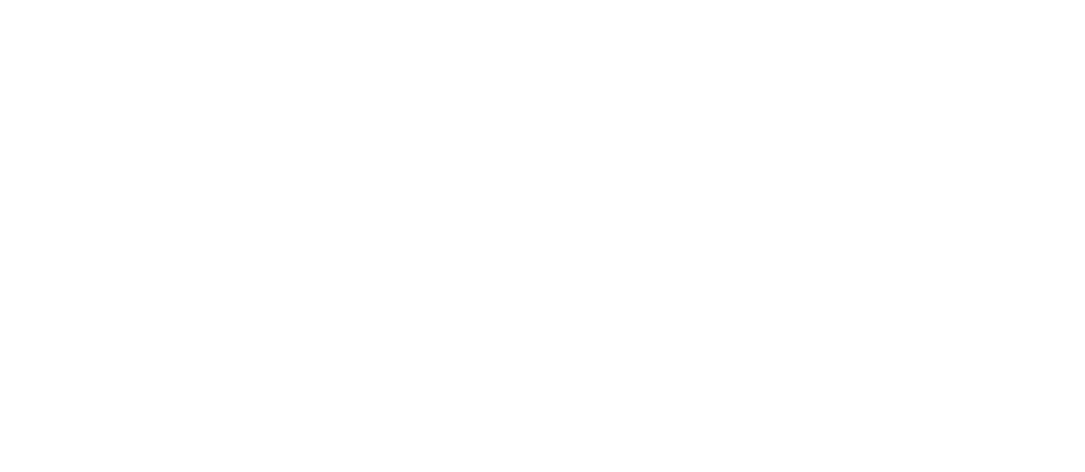 Logo_VP_blanc-250